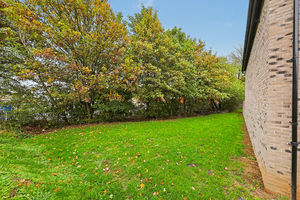 Woodyard Avenue Tapton